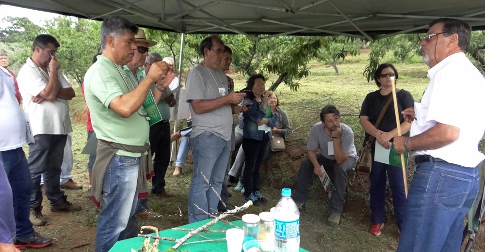Frutifica Minas