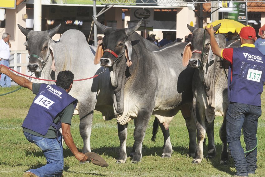 Exposição