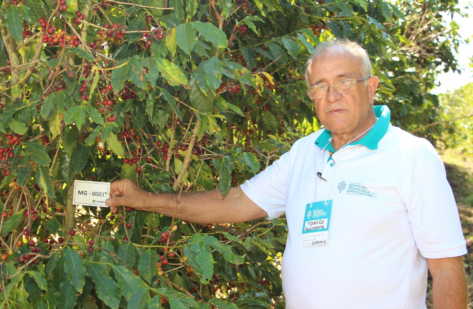 img_9199-pesquisador-antonio-pereira-desenvolve-trabalho-de-selecao-de-progenies-no-banco-de-germoplasm-do-cafe-que-ja-resultou-no-lancamento-de-varias-cultivares