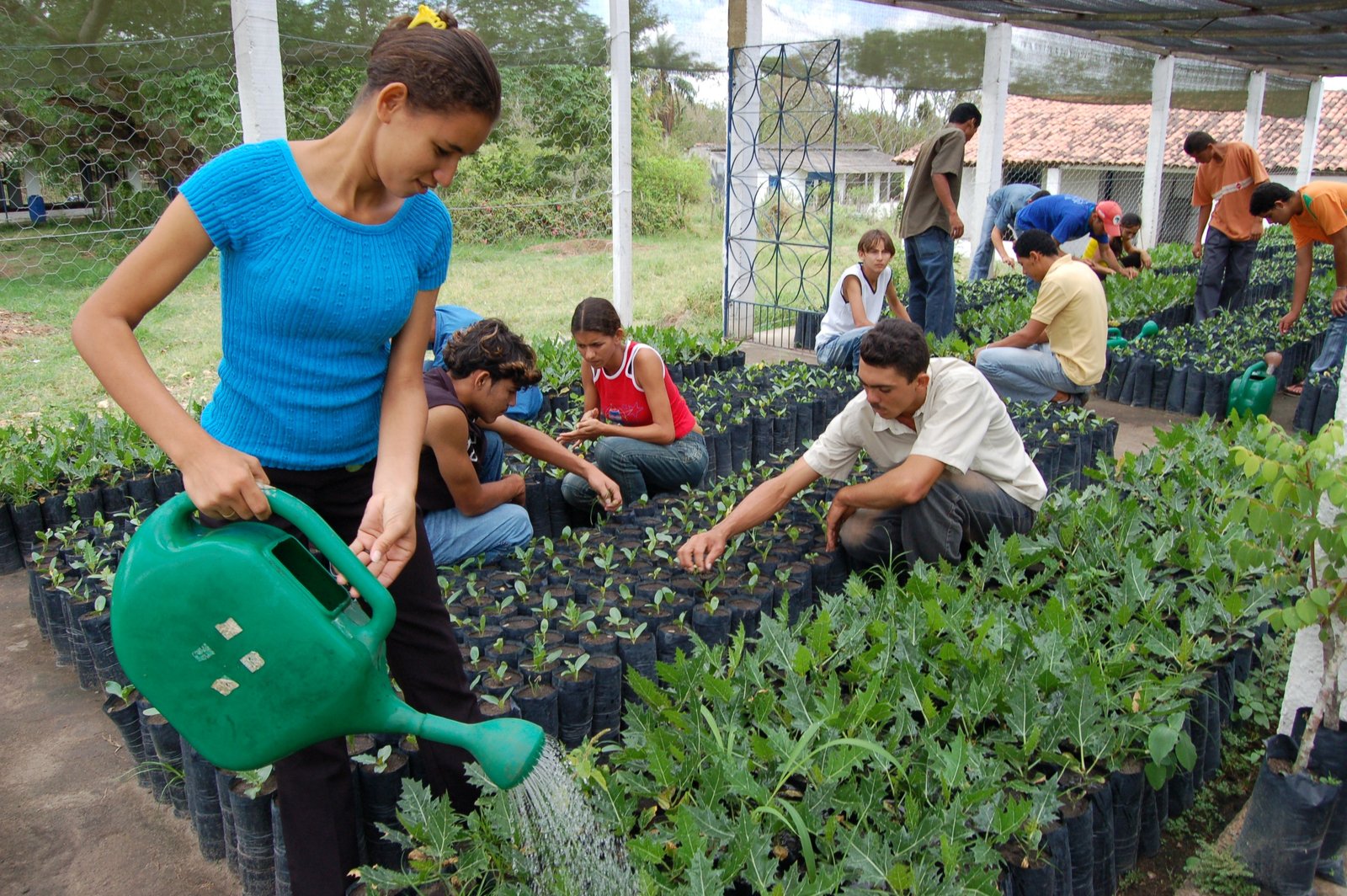 convenio-assegura-curso-tecnico-em-agropecuaria-em-minas-gerais-para-assentados-foto-acervo-incra