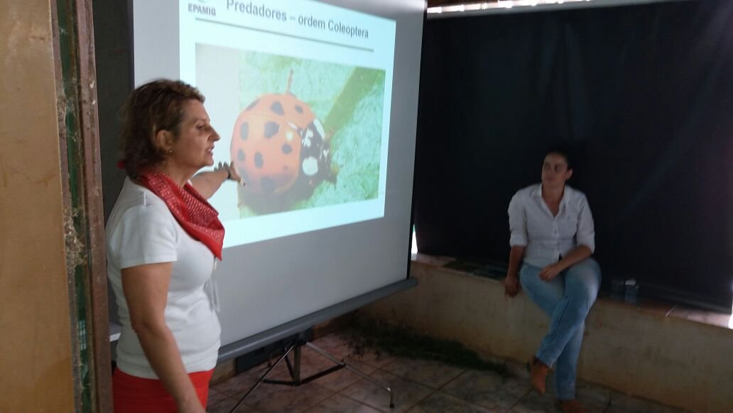 Divulgação EPAMIG