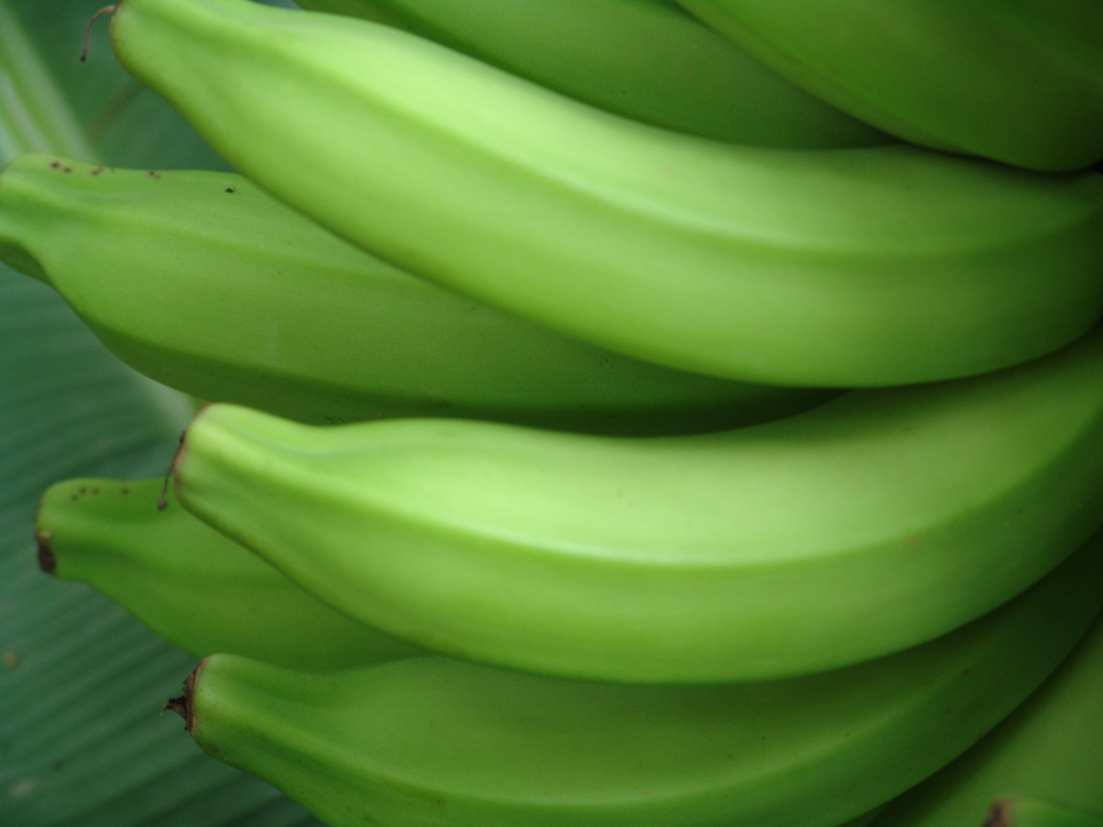 banana 4