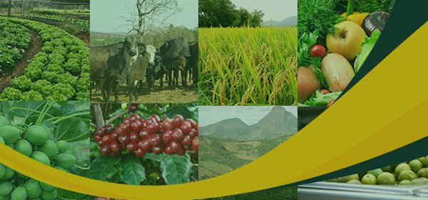 Programas Estaduais de Pesquisa