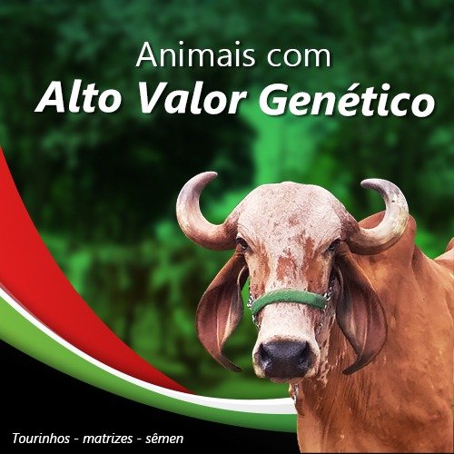 matrizes_e_repodutores