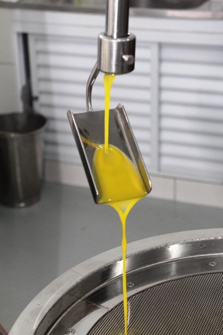 Extração do azeite em Maria da Fé - crédito Ascom EPAMIG