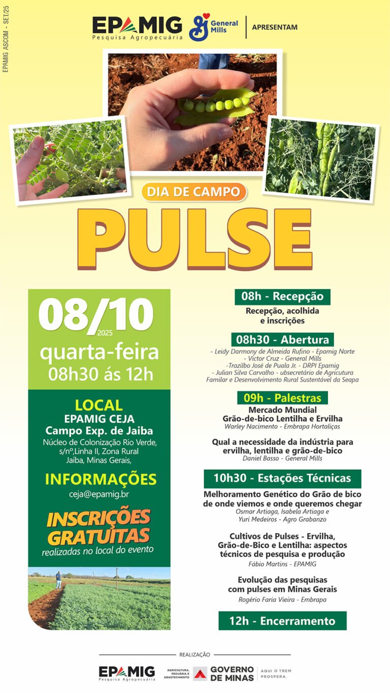 Dia de Campo Pulse – Ervilha, Grão de Bico e Lentilha