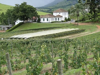 Campo Experimental de Caldas