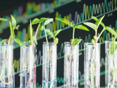 Programa Estadual de Pesquisa de Biotecnolgoia