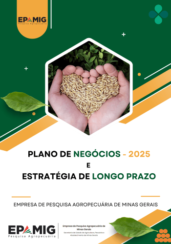 Plano de Negócios Anual 2025