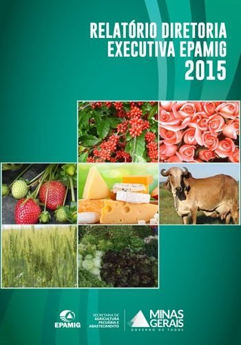 Relatório DREX 2015