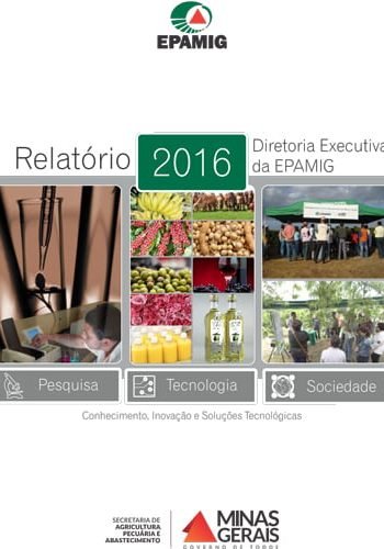 Relatório DREX 2016