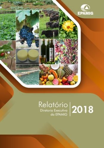 Relatório DREX 2018