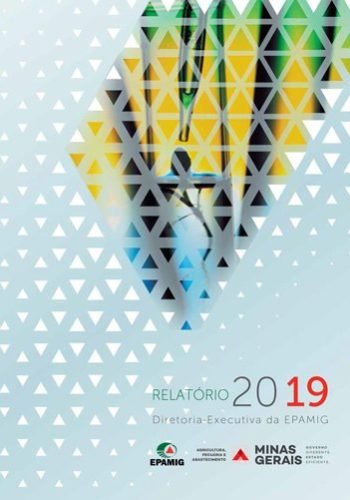 Relatório DREX 2018