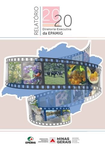 Relatório DREX 2020