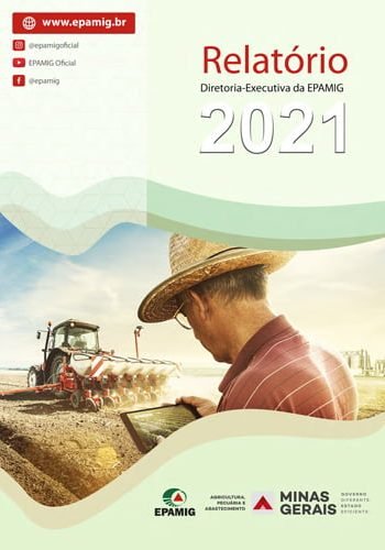 Relatório DREX 2018